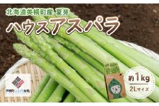 [先行受付]2025年産 ハウスアスパラ(夏芽)2Lサイズ 約1kg【配送不可地域：離島】【 ふるさと納税 人気 おすすめ ランキング アスパラ アスパラガス ハウス栽培 ハウス 野菜 ハウスアスパラ 北海道 美幌町 送料無料 】 BHRG016