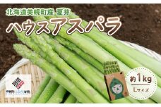 [先行受付]2025年産 ハウスアスパラ(夏芽) L サイズ 約1kg【配送不可地域：離島】【 ふるさと納税 人気 おすすめ ランキング アスパラ アスパラガス ハウス栽培 ハウス 野菜 ハウスアスパラ 北海道 美幌町 送料無料 】 BHRG017