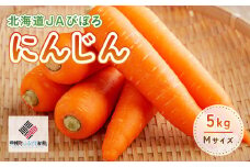 2025年産 北海道JAびほろ にんじん5kg【配送不可地域：離島】 ふるさと納税 人気 おすすめ ランキング にんじん 人参 ニンジン 野菜 根菜 緑黄色野菜 ヘルシー 北海道 美幌町 送料無料 BHRG019