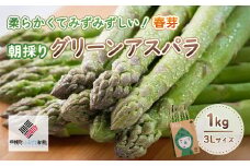 2025年産 柔らかくてみずみずしい朝取りグリーンアスパラ(春芽)3L 1kg【配送不可地域：離島】 【 ふるさと納税 人気 おすすめ ランキング アスパラ アスパラガス グリーンアスパラ 朝どれ 新鮮 野菜 北海道 美幌町 送料無料 】 BHRG028