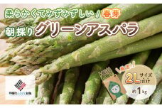 2025年産 柔らかくて瑞々しい朝取りグリーンアスパラ(春芽)2L 1kg【配送不可地域：離島】 ふるさと納税 人気 おすすめ ランキング アスパラ アスパラガス グリーンアスパラ 朝どれ 新鮮 野菜 北海道 美幌町 送料無料 BHRG029