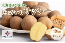 じゃがいも「サッシー」Lサイズ・10kg ふるさと納税 人気 おすすめ ランキング いも 芋 イモ じゃがいも ジャガイモ サッシー 野菜 北海道 美幌町 送料無料 BHRG035