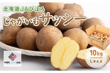 じゃがいも「サッシー」Lサイズ・10kg ふるさと納税 人気 おすすめ ランキング いも 芋 イモ じゃがいも ジャガイモ サッシー 野菜 北海道 美幌町 送料無料 BHRG035