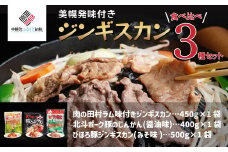美幌発味付きジンギスカン食べ比べ3種セット【配送不可地域：離島】 ふるさと納税 人気 おすすめ ランキング ラム 羊肉 豚肉 ポーク ジンギスカン 味噌味 醤油味 食べくらべ 北海道 美幌町 送料無料 BHRG045