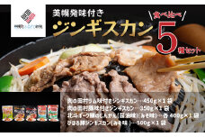 美幌発味付きジンギスカン食べ比べ5種セット【配送不可地域：離島】 ふるさと納税 人気 おすすめ ランキング ラム 羊肉 豚肉 ポーク ジンギスカン 味噌味 醤油味 食べくらべ 北海道 美幌町 送料無料 BHRG046