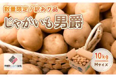 「数量限定訳あり品」じゃがいも「男爵」Mサイズ・10kg ふるさと納税 人気 おすすめ ランキング いも イモ 芋 じゃがいも ジャガイモ 訳あり 男爵 男爵いも 北海道 美幌町 送料無料 BHRG061