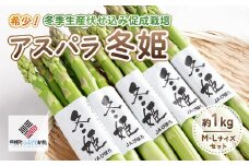 希少!冬期生産伏せ込み促成栽培アスパラ「冬姫」M～L　約1kg【配送不可地域：離島】（2025年11月中旬より順次発送） 【 ふるさと納税 人気 おすすめ ランキング アスパラ アスパラガス 促成栽培 野菜 新鮮 ヘルシー おいしい 北海道 美幌町 送料無料 】 BHRG070