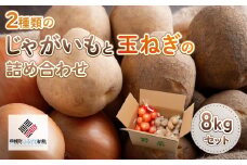 2種類のじゃがいもと玉ねぎの詰め合わせ 約8kgセット ふるさと納税 人気 おすすめ ランキング いも イモ 芋 じゃがいも ジャガイモ 玉ねぎ たまねぎ タマネギ オニオン 北海道 美幌町 送料無料 BHRG080