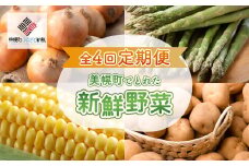 【定期便】先行予約 美幌町でとれた新鮮野菜～全4回～（2025年3月発送開始予定）【 ふるさと納税 人気 おすすめ ランキング 野菜 とれたて 新鮮 ベジタブル セット 定期便 詰め合わせ 北海道 美幌町 送料無料 】 BHRG081