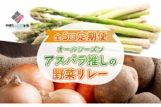 【先行予約】全5回定期便 オールシーズン アスパラ推しの野菜リレー（2025年4月から発送開始） 【 ふるさと納税 人気 おすすめ ランキング アスパラ アスパラガス トマト じゃがいも にんじん 玉ねぎ 野菜 新鮮 セット 詰め合わせ 定期便 北海道 美幌町 送料無料 】 BHRG082