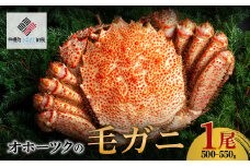 オホーツクの毛ガニ　[500g～550g×1尾]【配送不可地域：離島】 ふるさと納税 人気 おすすめ ランキング 毛がに 毛ガニ 毛蟹 カニ かに 蟹 オホーツク産 新鮮 北海道 美幌町 送料無料 BHRI002