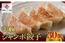 美幌ジャンボ餃子　30個(10個入り×3袋)【配送不可地域：離島】 ふるさと納税 人気 おすすめ ランキング 餃子 ぎょうざ ギョーザ ジャンボ ジャンボ餃子 ジャンボぎょうざ ジャンボギョーザ おかず 北海道 美幌町 送料無料 BHRI023
