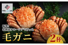 ＜限定＞極寒！北海道オホーツクで育った ”毛ガニ” 2杯 ふるさと納税 人気 おすすめ ランキング 毛蟹 毛ガニ 毛がに 蟹 かに カニ オホーツク産 北海道 美幌町 送料無料 BHRI032