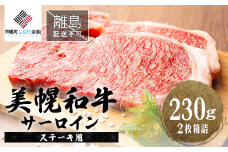 【田村精肉店】北海道産 美幌和牛サーロイン（ステーキ用）230g×2枚箱詰【配送不可地域：離島】 ふるさと納税 人気 おすすめ ランキング 和牛 牛肉 牛 サーロイン ステーキ サーロインステーキ ステーキ肉 牛ステーキ 北海道 美幌町 送料無料 BHRJ005