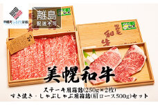 【田村精肉店】美幌和牛ステーキ用箱詰(250g×2枚)・すき焼き・しゃぶしゃぶ用箱詰(肩ロース500g)セット【配送不可地域：離島】 ふるさと納税 人気 おすすめ ランキング 和牛 牛 牛肉 ステーキ 肉 すき焼き しゃぶしゃぶ 和牛肉 セット 北海道 美幌町 送料無料 BHRJ008