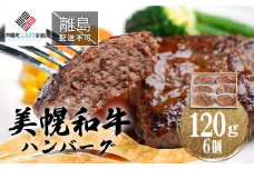 【田村精肉店】美幌和牛ハンバーグ【120g×6個】【配送不可地域：離島】 ふるさと納税 人気 おすすめ ランキング 和牛 牛 牛肉 ハンバーグ 和牛ハンバーグ 牛ハンバーグ 北海道 美幌町 送料無料 BHRJ010