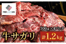 【田村精肉店】牛サガリ（焼肉用）300ｇ×4Ｐ／Ｃ 【配送不可地域：離島】 【 ふるさと納税 人気 おすすめ ランキング 牛肉 肉 牛サガリ サガリ 焼肉 焼肉用 焼肉用牛肉 牛 北海道 美幌町 送料無料 】 BHRJ019
