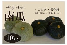 R7年産　南瓜　約10kg　ヤナセ農園/014-27091-b01A