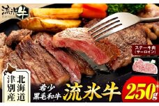 流氷牛ステーキ肉 250g （サーロイン）| 北海道 津別町