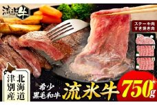 流氷牛ステーキ肉＆すき焼き肉セット（S） 750g | 北海道 津別町