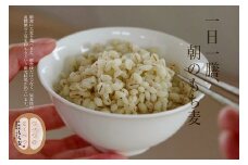 もち麦 1kg×3 「つべつのとくべつ」 | 北海道津別町
