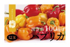 【R7年早期受付】湧水栽培 ナツやさいのパプリカ 12玉〜15玉セット ピンクの八百屋〜ナツやさい〜  | 北海道津別町