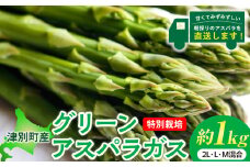 【先行受付】R8年産 アスパラガス 約1kg 特別栽培 細川農園 | 北海道津別町