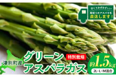 【先行受付】R8年産 アスパラガス 約1.5kg 特別栽培 細川農園 | 北海道津別町
