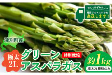 【先行受付】R8年産 アスパラガス （極太2L） 特別栽培 約1kg 細川農園 | 北海道津別町