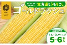 【R7年産】8月の旬 トウモロコシ（ゴールドラッシュ） 5〜6本 ピンクの八百屋〜ナツやさい〜 | 北海道津別町