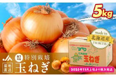 R7年産先行受付 玉ねぎ 5kg 特別栽培 | 北海道津別町