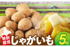 R7年産先行受付 じゃがいも 5kg 特別栽培（男爵） | 北海道津別町