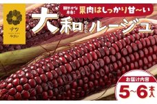 【R7年早期受付】9月の旬 日本初の赤トウモロコシ「大和ルージュ」 5本 ピンクの八百屋〜ナツやさい〜  | 北海道津別町