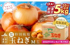 【訳あり】数量限定 特別栽培玉ねぎ M玉 5kg | 北海道津別町