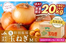 【訳あり】数量限定 特別栽培玉ねぎ M玉 20kg | 北海道津別町