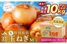 【訳あり】数量限定 特別栽培玉ねぎ M玉 10kg | 北海道津別町