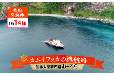 知床大型観光船おーろら＜カムイワッカの滝航路・乗船引換券　1枚1名様＞【1220417】