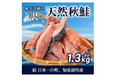 ＜訳あり＞知床斜里産 天然秋鮭の切り身 約1.3kg 船上活締め【1430538】