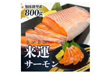 新ブランド「来運サーモン(約800g)」知床斜里産の天然サーモン。船上活締めで鮮度抜群!【1434916】