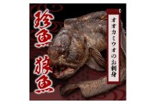 <数量限定>知床斜里産の珍魚「オオカミウオ」!話題作りにいかがですか?＜凍眠にて冷凍しています＞【1410131】