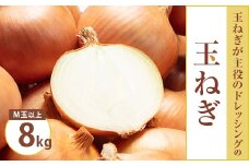 ＜先行受付＞北海道　知床斜里産　玉ねぎ 8kg M玉以上サイズ混合　農家から直送【1424884】