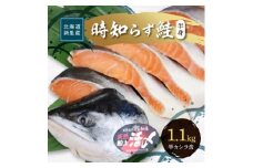 活〆 時知らず 鮭切り身 中塩仕込 天然 半身 1100g 小分け  知床斜里産【1148307】