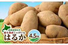 北海道しれとこ越冬熟成じゃがいも はるか 4.5kg　【1486948】