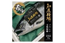 ＜希少!数量限定＞知床斜里産 天然ブランドサクラマス「知床桜鱗」2kg(真空冷凍)【1411132】