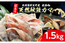 ＜訳あり＞北海道斜里町産　天然秋鮭カマ 1.5kg＜無添加＞【1507539】