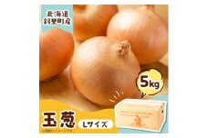 産地直送知床の恵み凝縮!斜里の玉葱Lサイズ5kg　産地直送【1537871】
