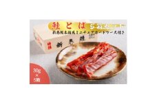 鮭とば(新巻鮭木箱風ミニチュアケース付き)　5個セット【1642746】