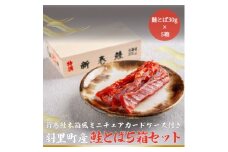 鮭とば(新巻鮭木箱風ミニチュアケース付き)　5個セット【1642746】