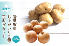 【先行予約】清里町産じゃがいも3種・玉ねぎセット＜計16kg＞（2025年10月中旬より順次発送） 【 ふるさと納税 人気 おすすめ ランキング 野菜 じゃがいも いも 芋 玉ねぎ たまねぎ タマネギ 北海道 清里町 送料無料 】  KYSB004
