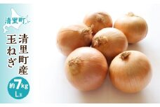 【先行予約】清里産玉ねぎセット＜L玉 7kg＞（2025年10月中旬より順次発送） 【 ふるさと納税 人気 おすすめ ランキング 野菜 玉ねぎ たまねぎ タマネギ 新鮮 北海道 清里町 送料無料 】 KYSB011